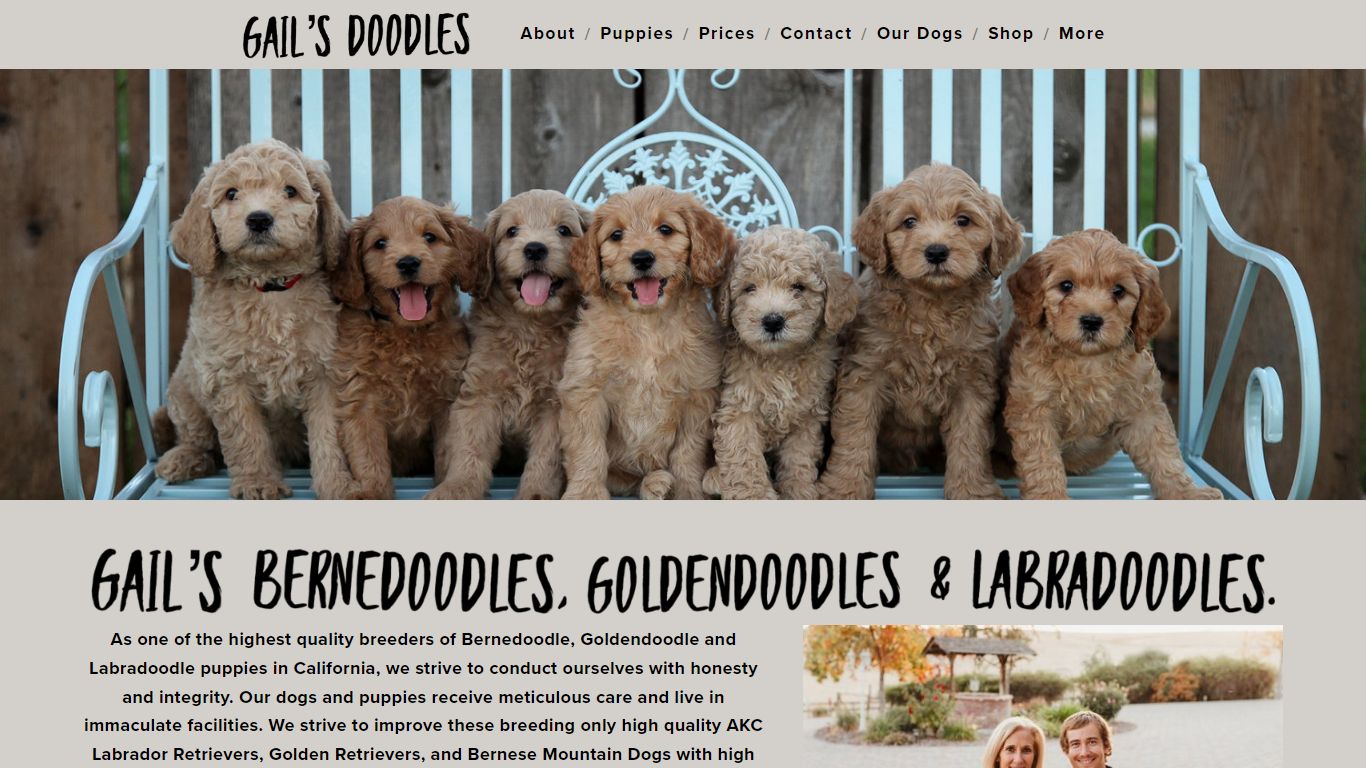 Gail's Doodles- Bernedoodle, Labradoodle and Goldendoodle Puppies